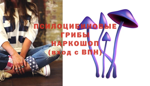 метадон Елизово