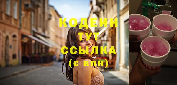 метадон Елизово