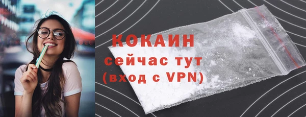 дживик Елабуга
