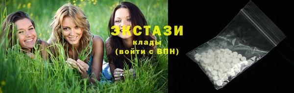 дживик Елабуга