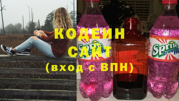 соль ск Дмитров