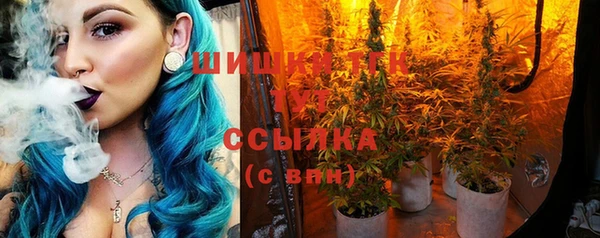 прущий лед Ельня
