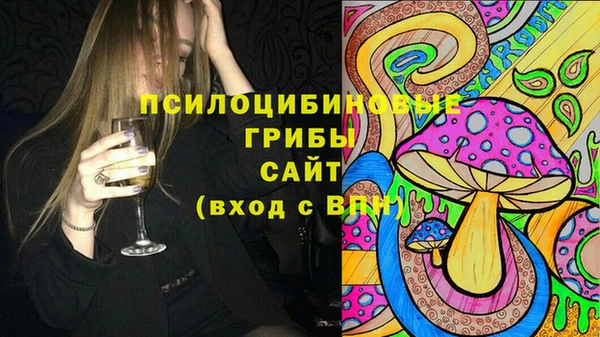 гашик Нея