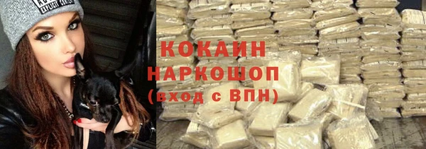 прущий лед Ельня