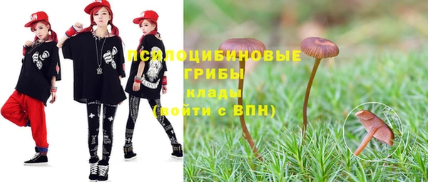 прущий лед Ельня