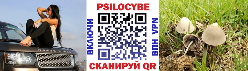 Галлюциногенные грибы прущие грибы  купить   Пионерский 